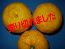 ͮ�ҡʤ椺��A