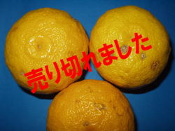 ͮ�ҡʤ椺��B