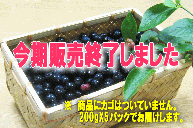 今期販売終了しました
