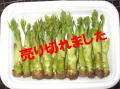 ����β�ʻ��ڡˣӡ������ѡ�������