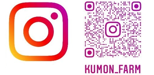 Instagram.png