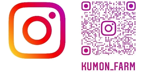 Instagram1.png