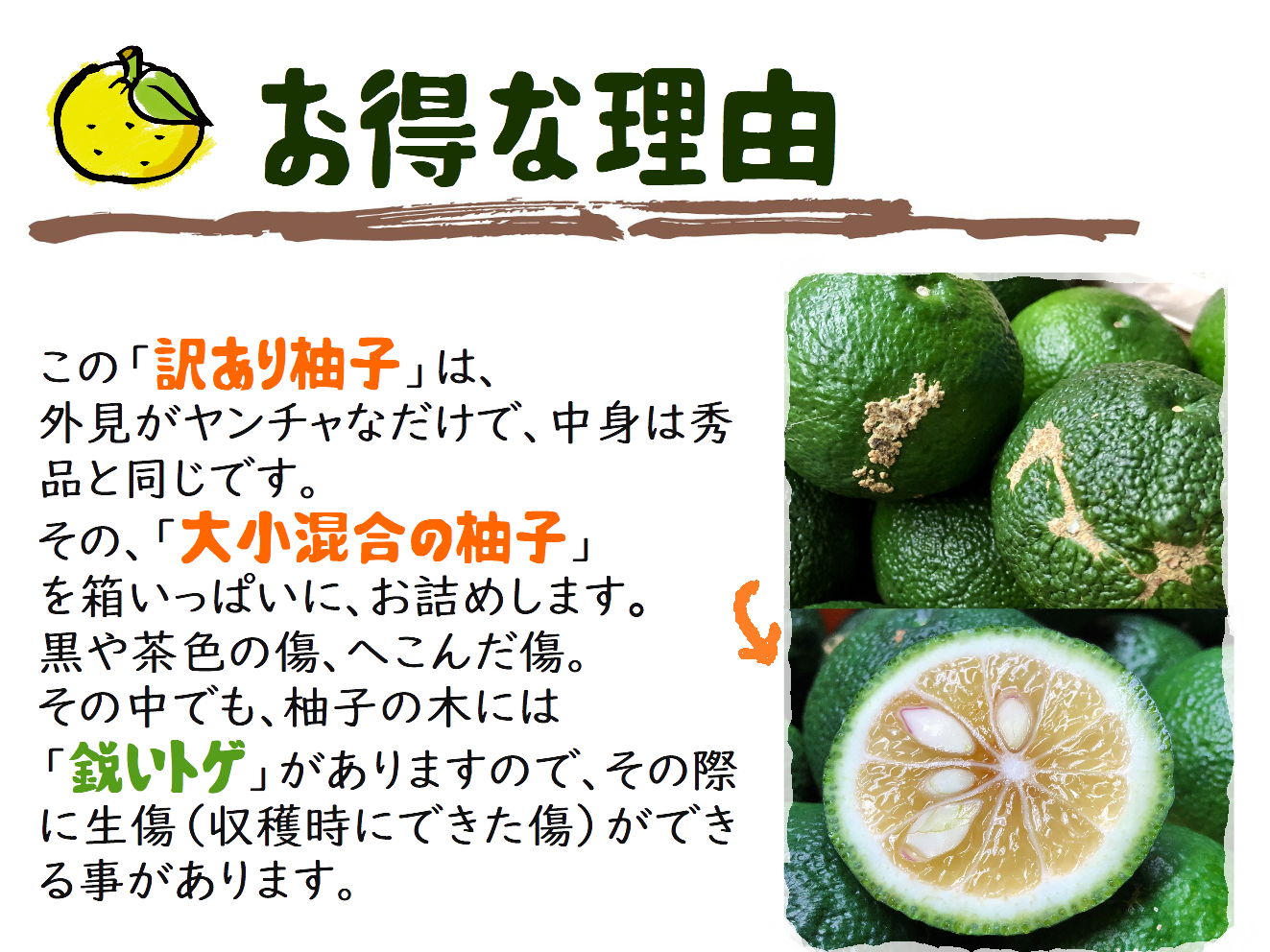 aoyuzu0003.png