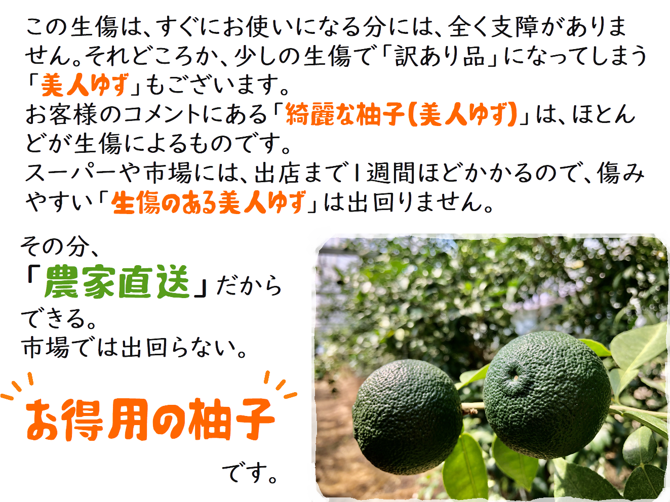 aoyuzu0004.png