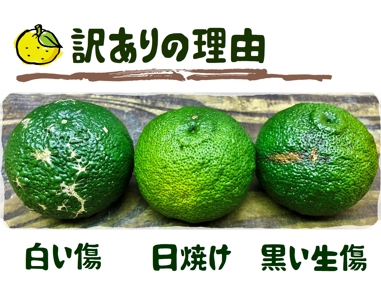 aoyuzu0005.png