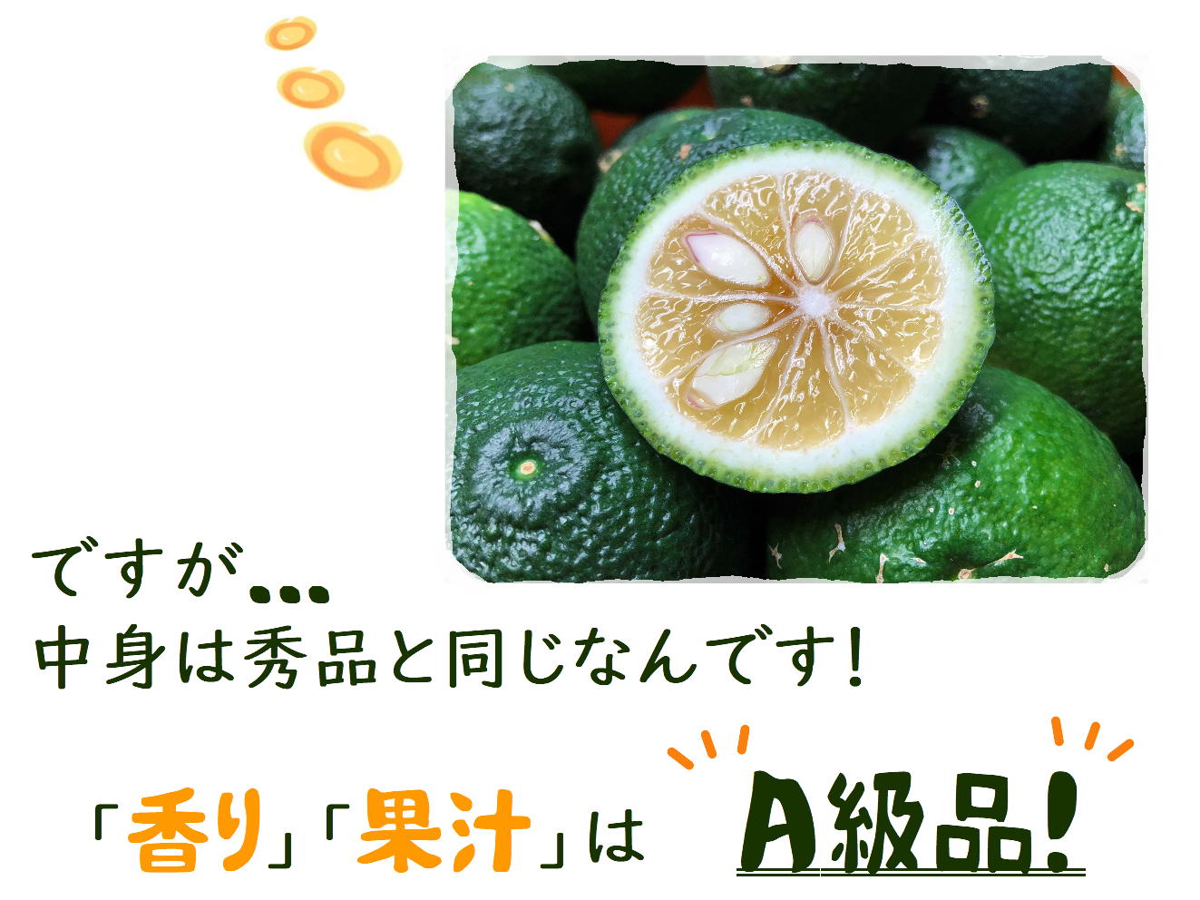 aoyuzu0006.png