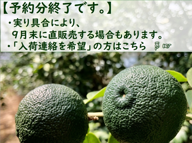 aoyuzu0011.jpg