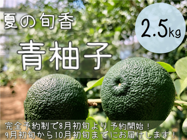 aoyuzu2-5.png