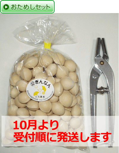 お試しセット