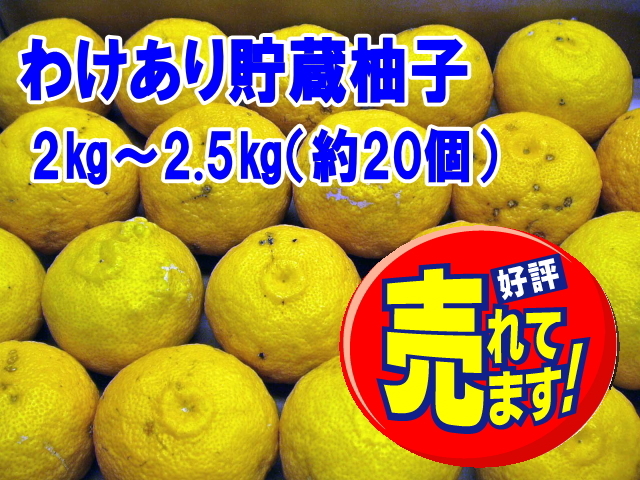貯蔵柚子　2～2.5㎏