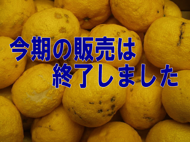 今期の販売は終了しました