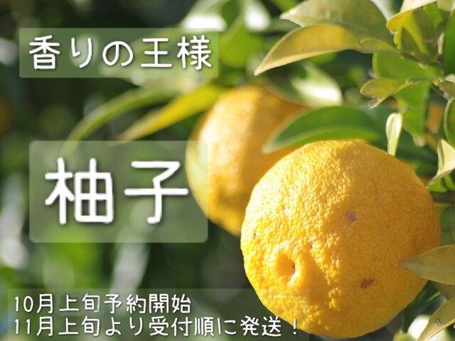 yuzu98765.jpg