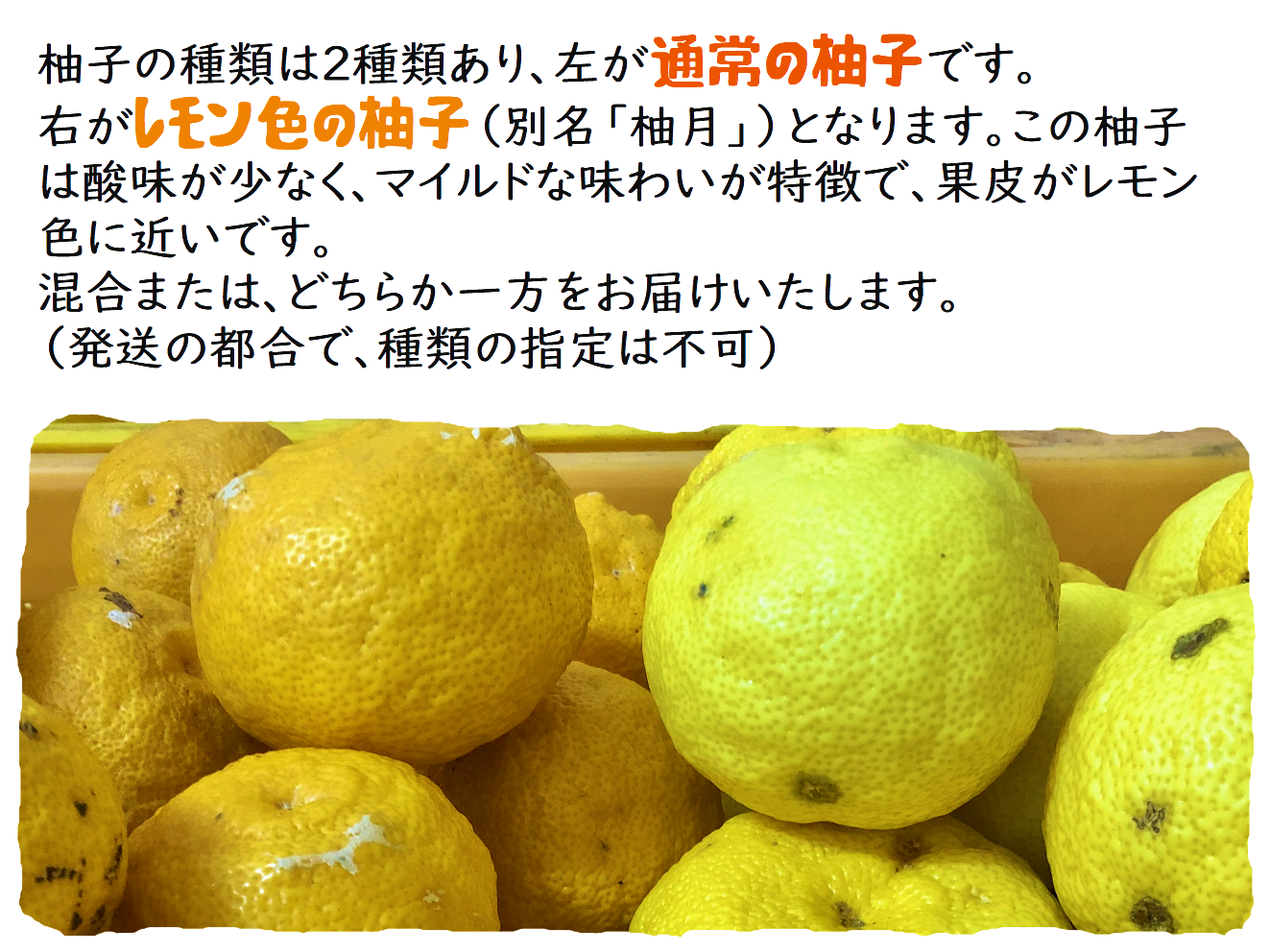 yuzu5555.png